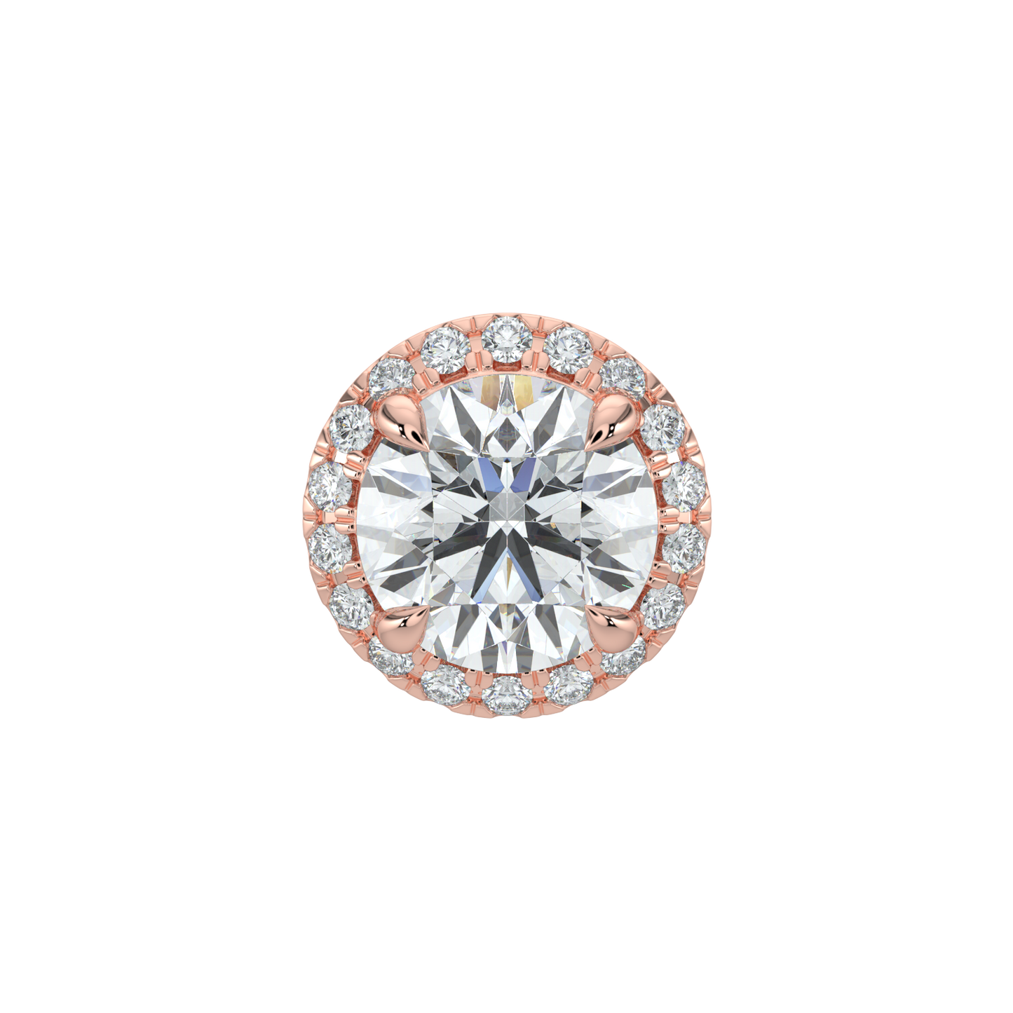 Round Halo Solitaire Studs-Rose Gold