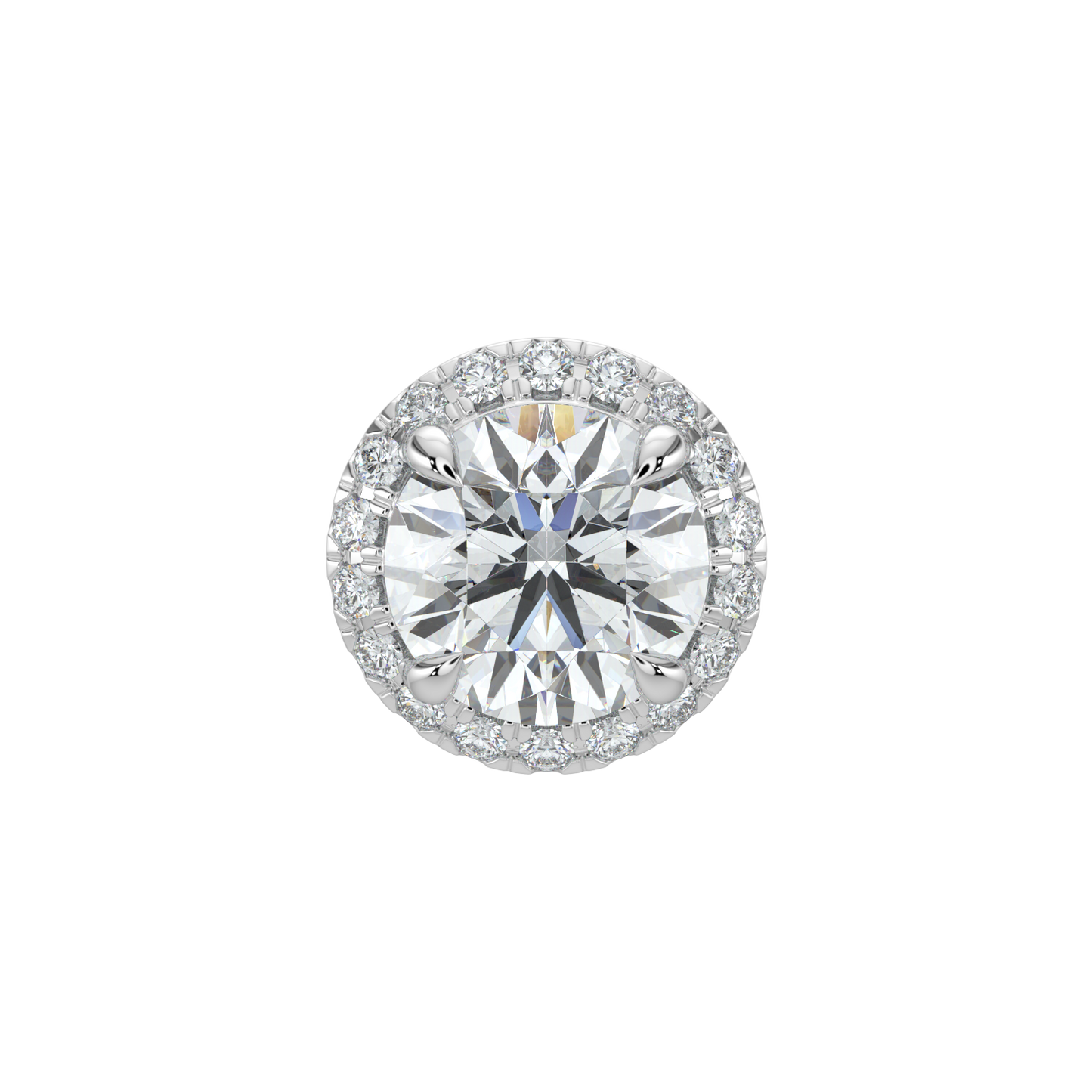 Round Halo Solitaire Studs-White Gold