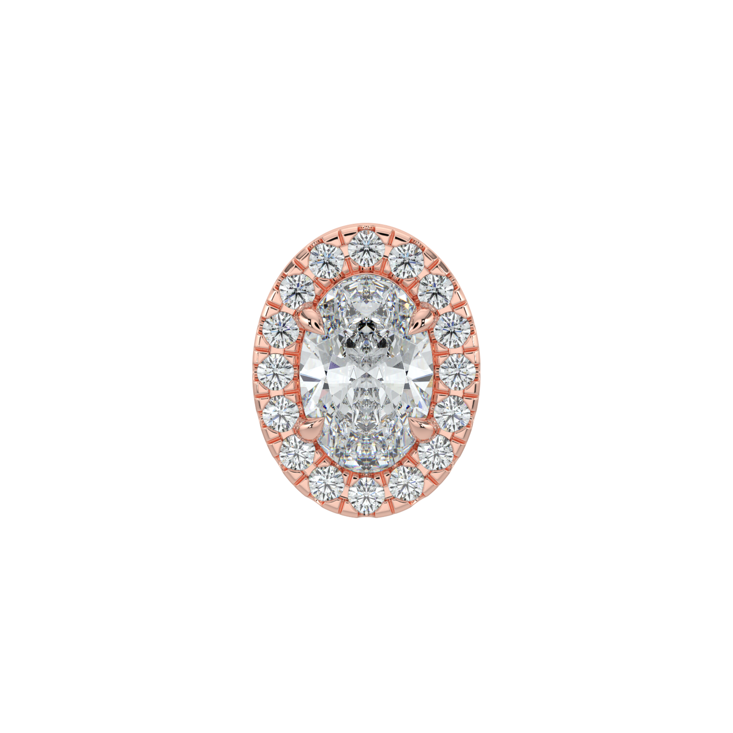Oval Halo Solitaire Studs-Rose Gold