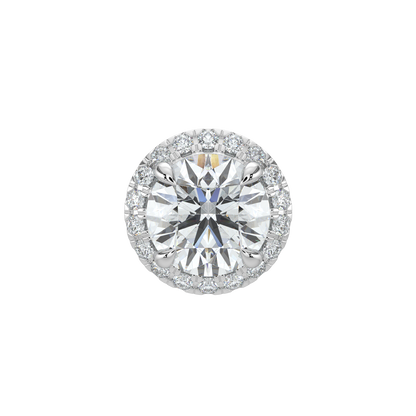 Round Halo Solitaire Studs-White Gold