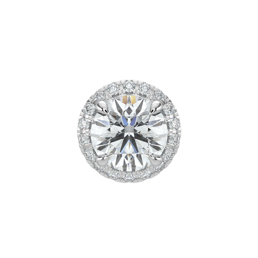 Round Halo Solitaire Studs-White Gold