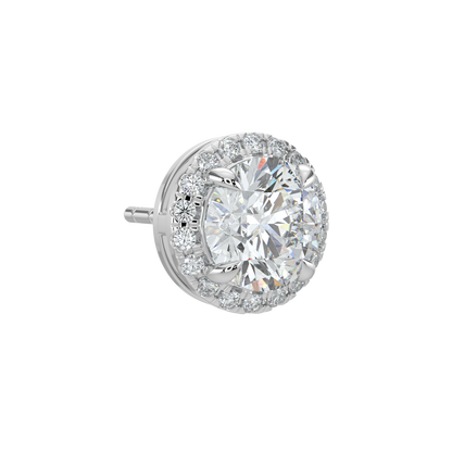 Round Halo Solitaire Studs-White Gold