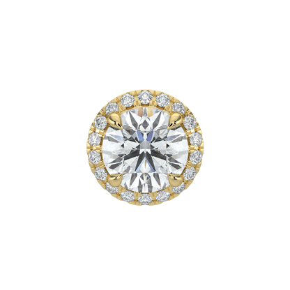 Round Halo Solitaire Studs-Yellow Gold
