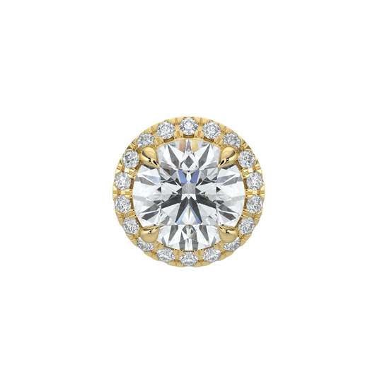 Round Halo Solitaire Studs-Yellow Gold